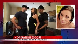 OperationEscort &#8211; Cadence Lux &#8211; Violent Call Girl Attacks Officers During Undercover Bust E22, PervTube.net