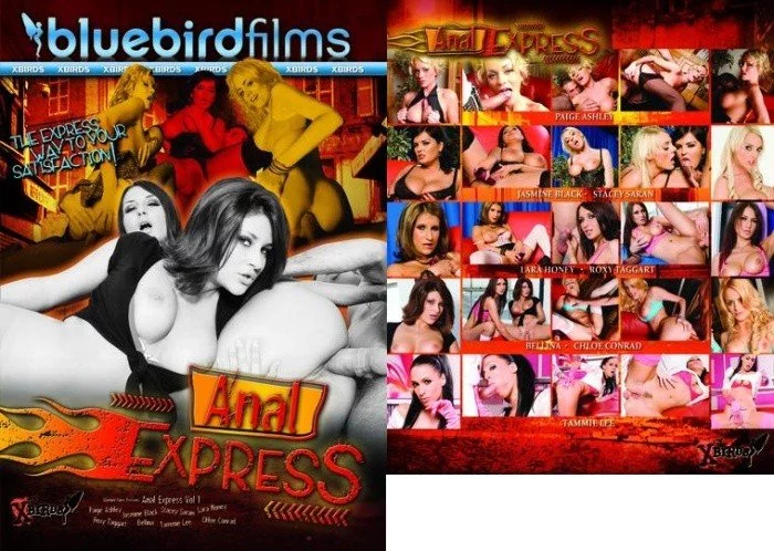 Anal Express, PervTube.net