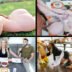MylfXTeamSkeet – Leana Lovings And Nina Dolci – Easter Hunt, PervTube.net