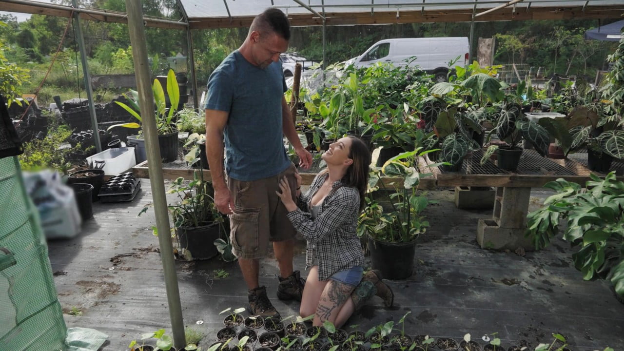 RKPrime &#8211; Katie Kingerie &#8211; Getting Banged In The Greenhouse, PervTube.net