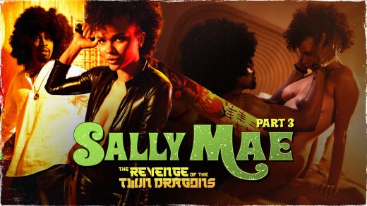 SweetSweetSallyMae – Alina Ali – Sally Mae: The Revenge Of The Twin Dragons: Part 3