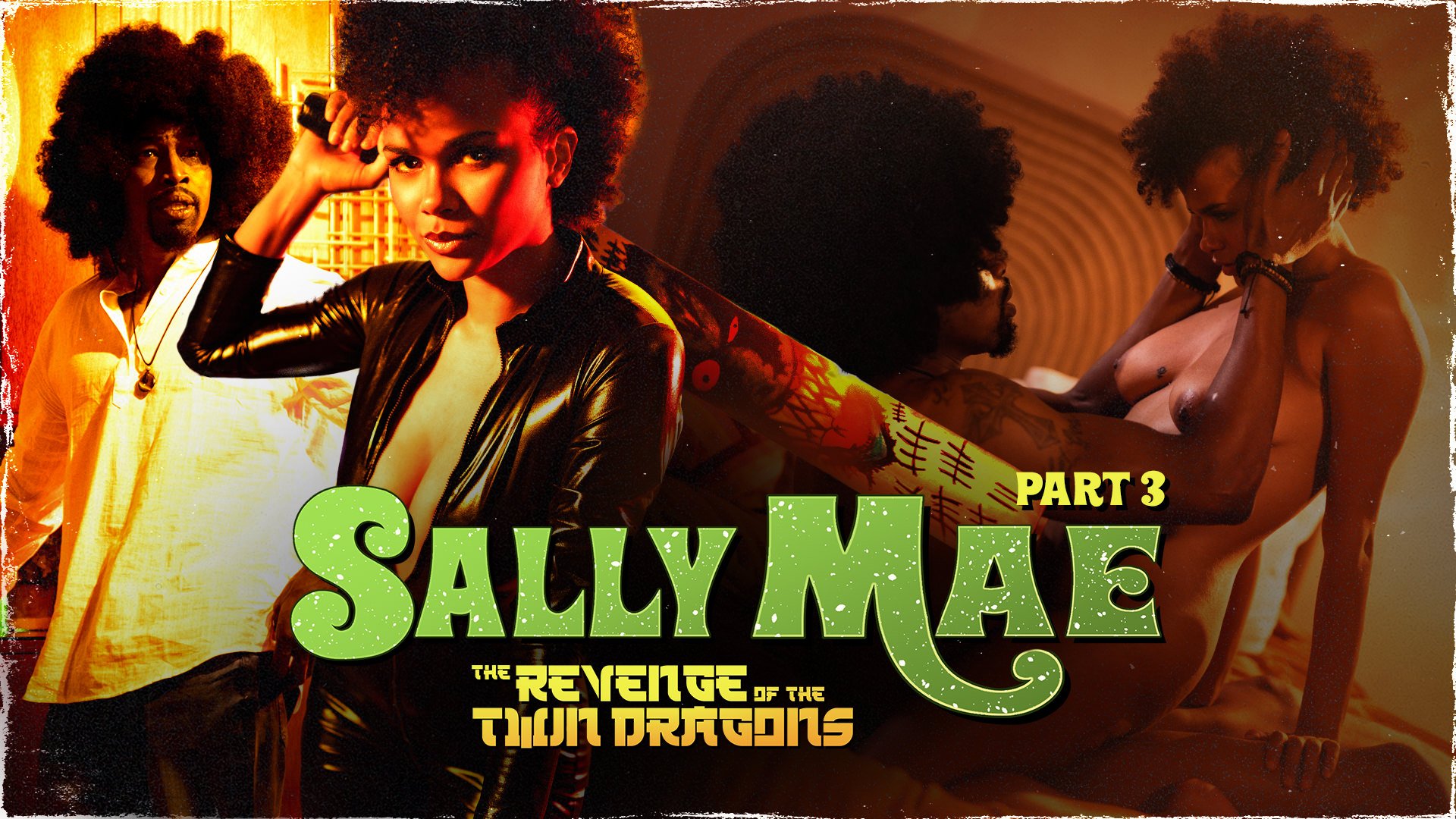 SweetSweetSallyMae &#8211; Alina Ali &#8211; Sally Mae: The Revenge Of The Twin Dragons: Part 3, PervTube.net