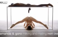 Hegre – Amanda – Milking And Mating Part 2